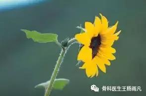 颈椎病都是颈椎曲度变直吗,颈椎生理曲度变直是颈椎病吗