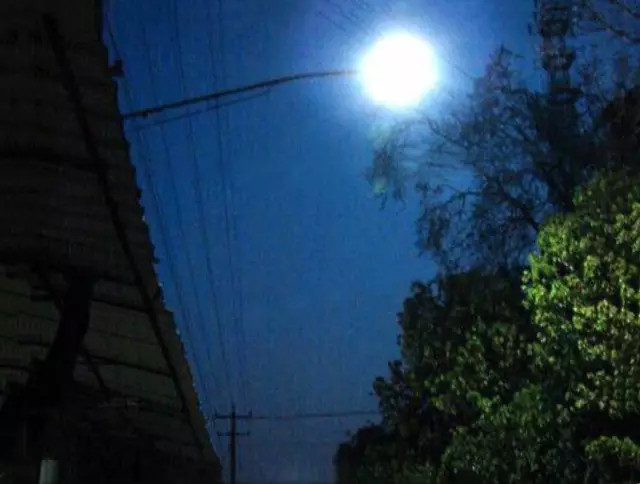 泥鳅野生及人工养泥鳅营养一样吗,野生的土泥鳅