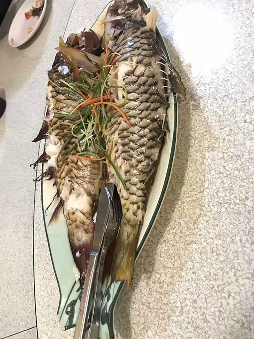 帕劳旅行的日记,帕劳的旅行日记