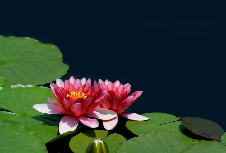 求领导办事领导却说别急,求领导帮忙办事领导为难怎么说