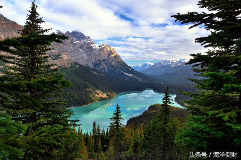 保险提问的问题100条,保险理赔咨询要问谁