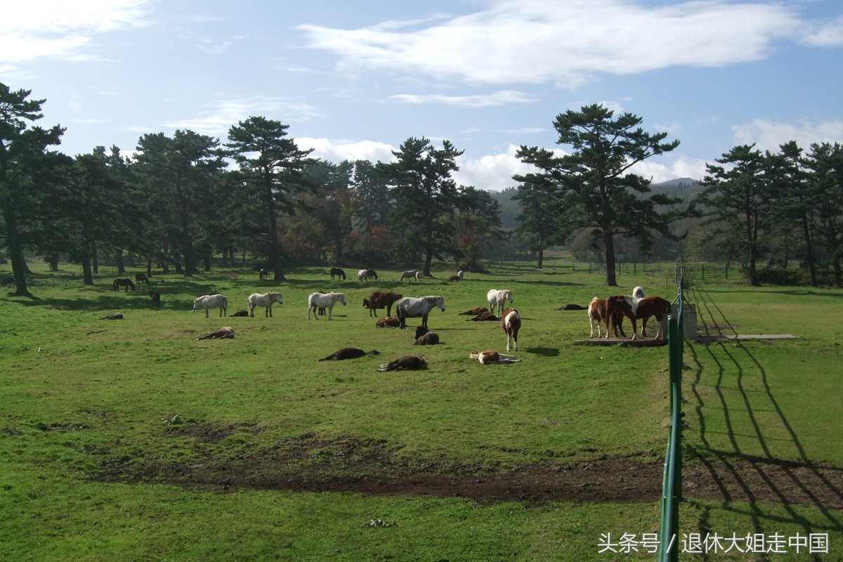 邮轮旅游必备的安全常识,邮轮旅行的十大禁忌