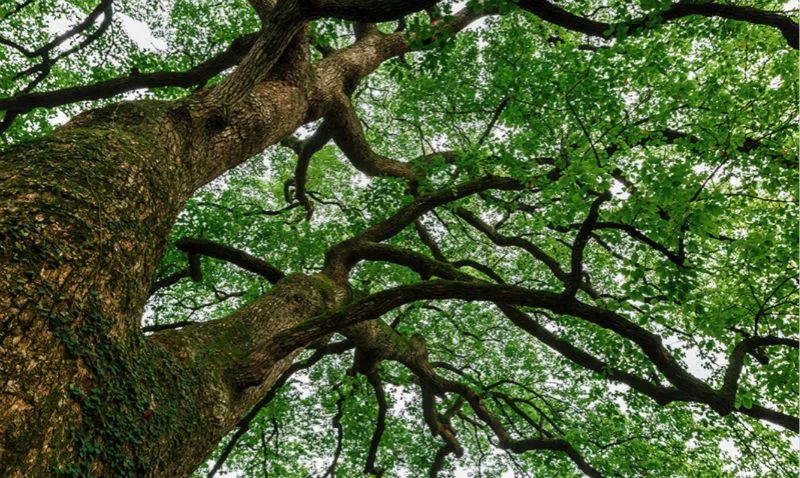 收藏一家一定会去入住的酒店,收藏一家一定会去的酒店