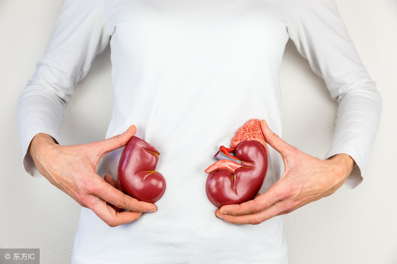 肾衰竭看哪几个指标,肾病5级和5期有什么区别