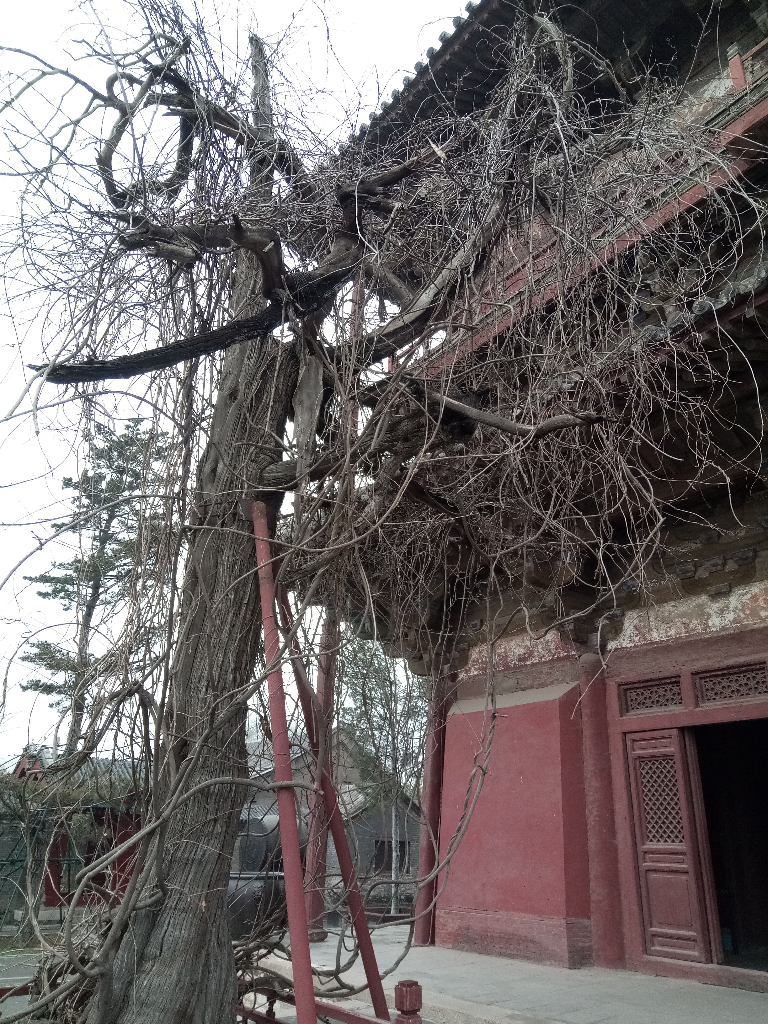 蓟县独乐寺附近好玩的,暑假天津蓟州必去十大免费景点