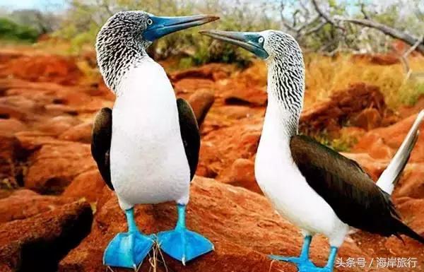 泰国9个最不能错过的美丽海岛,比普吉岛还美的度假天堂