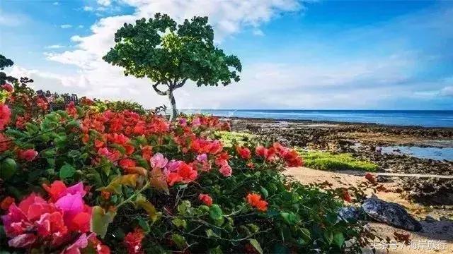 泰国9个最不能错过的美丽海岛,比普吉岛还美的度假天堂