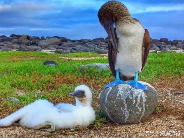 泰国9个最不能错过的美丽海岛,比普吉岛还美的度假天堂