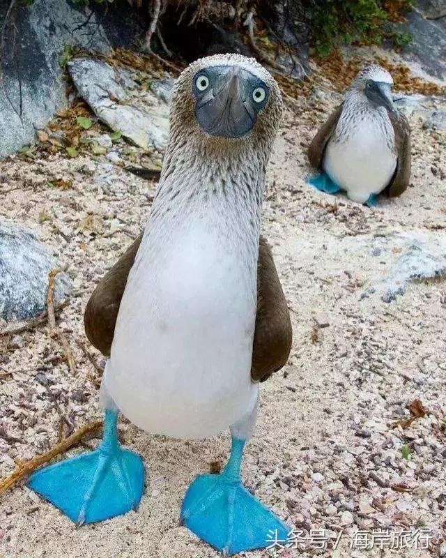 泰国9个最不能错过的美丽海岛,比普吉岛还美的度假天堂