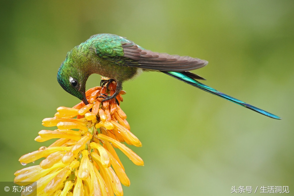 要想有出息凡事靠自己,要想有出息头上必须戴点绿