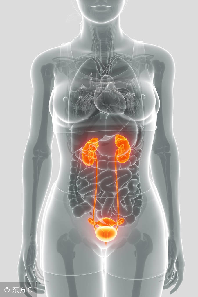 做好这些事预防疾病血管更通畅,预防胎儿早产的最好方法