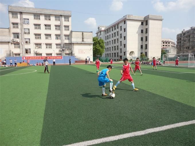 教育部取消体育,2018全国青少年校园足球特色学校