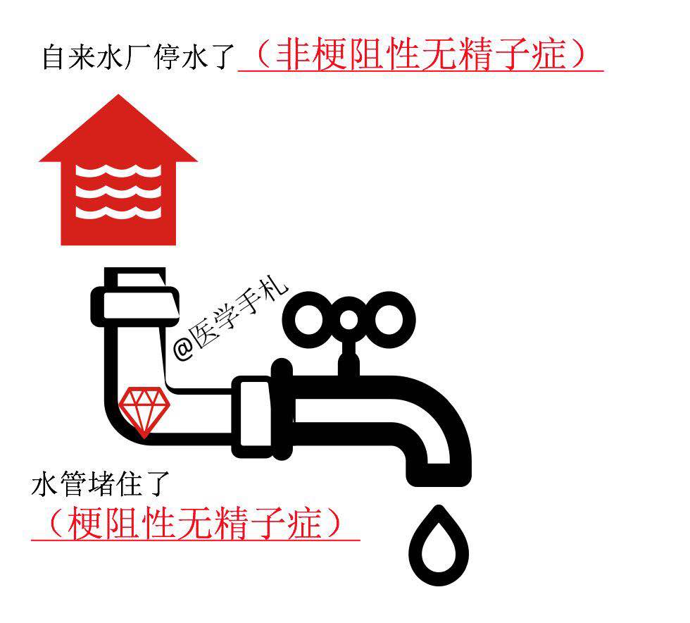 精子报告未见精子,精子报告无精子