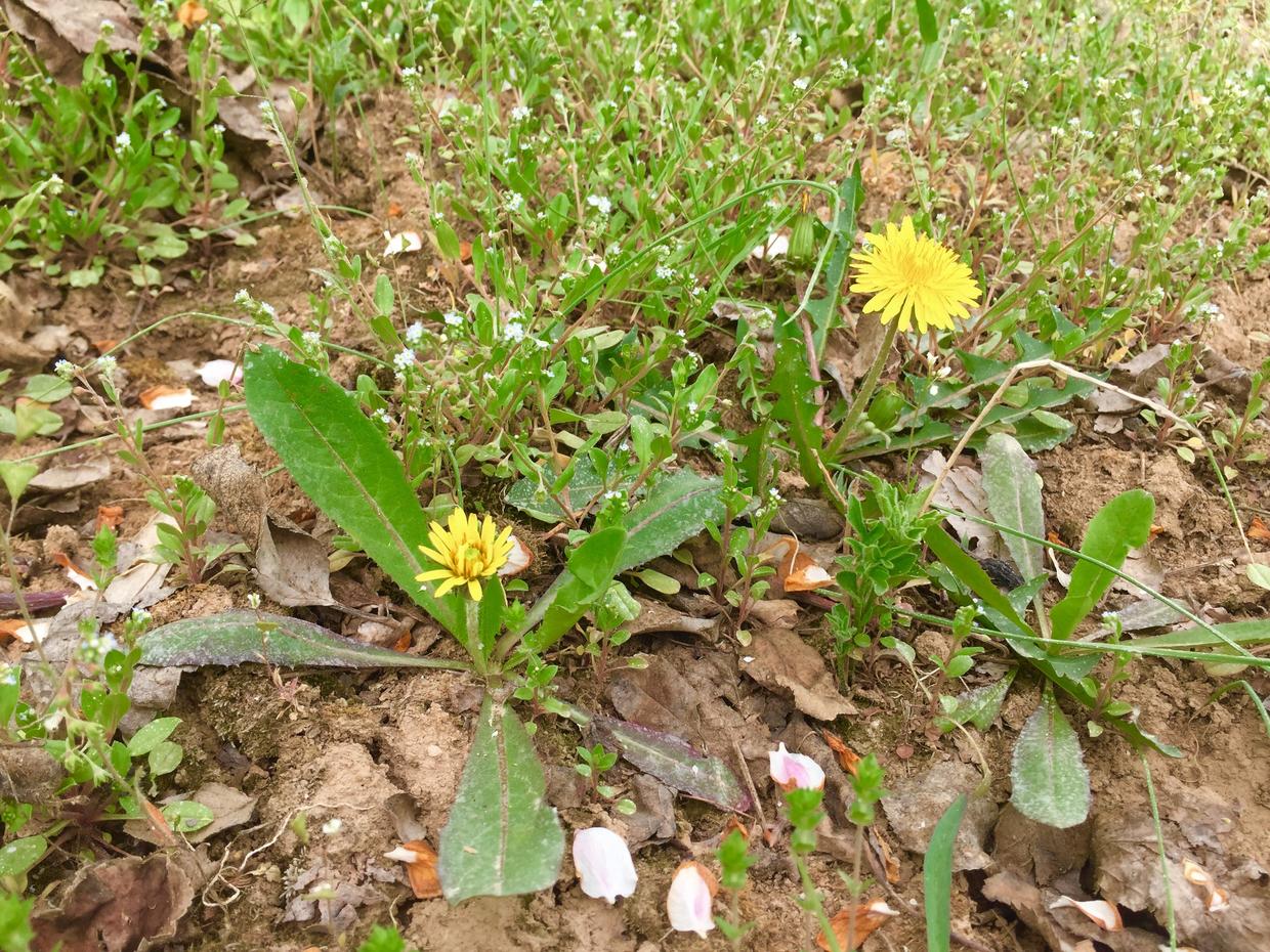 50岁改行职业规划,50岁改行能做什么