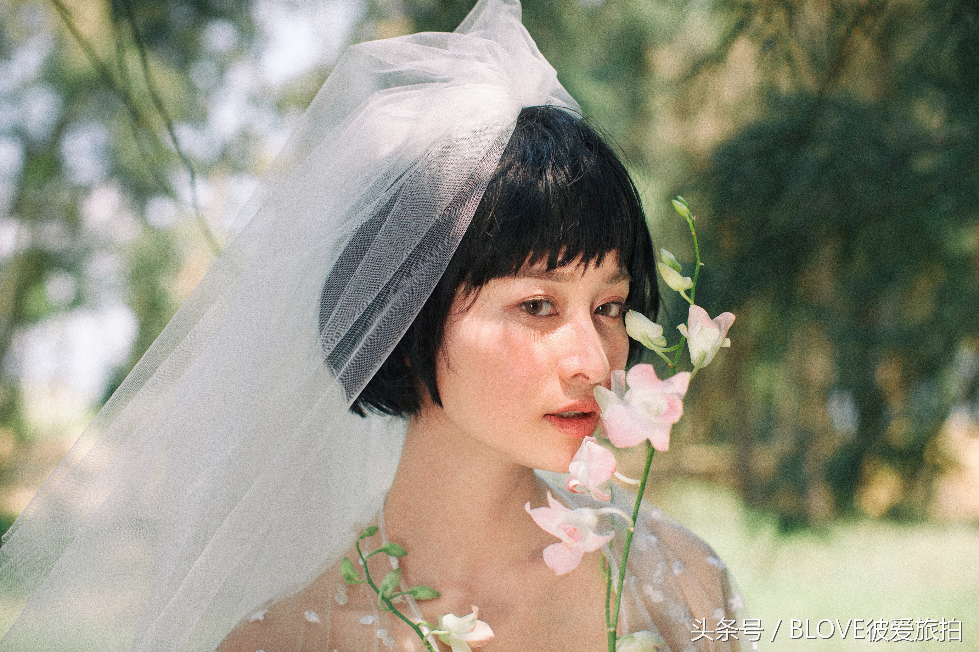 上海去国外拍婚纱照多少钱,上海去三亚拍婚纱照包机票吗