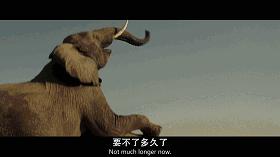 特别搞笑的英国电影推荐,9部爆笑英国电影