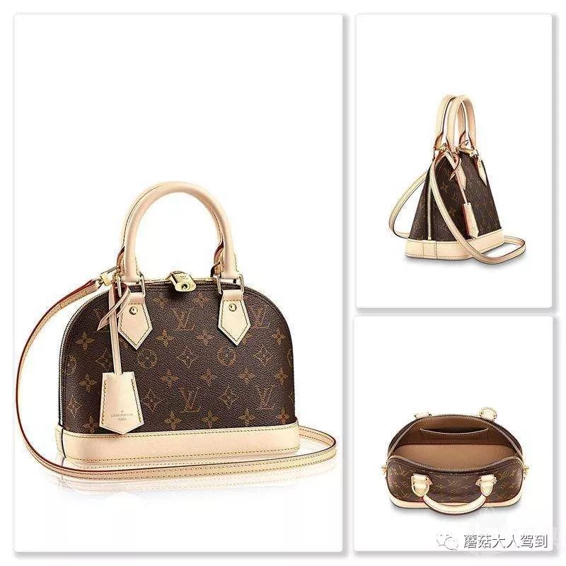 鍥藉璐墿鏁欑▼,鍥藉璐墿鎼瘽