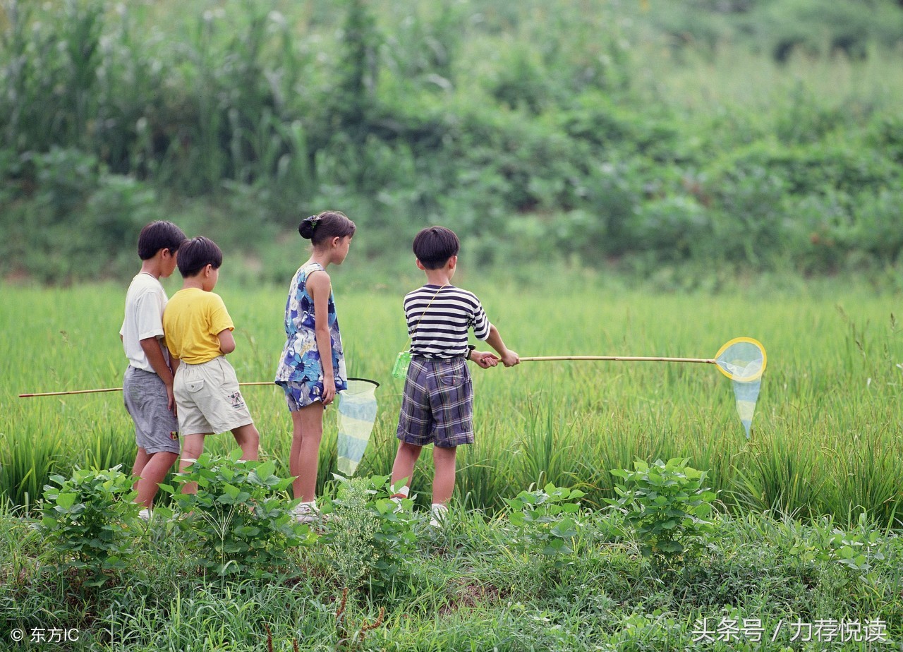 王蕊蕊经典视频,王蕊秦汉思源完整视频