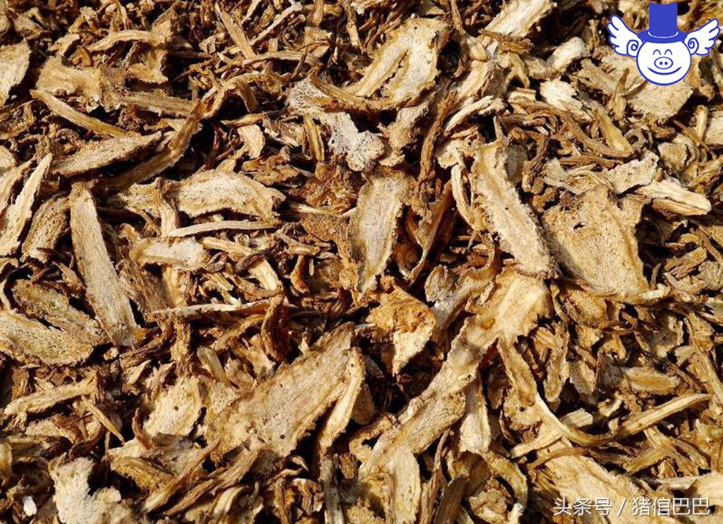 怀孕母猪不能用哪些中药,不可轻易食用的中药