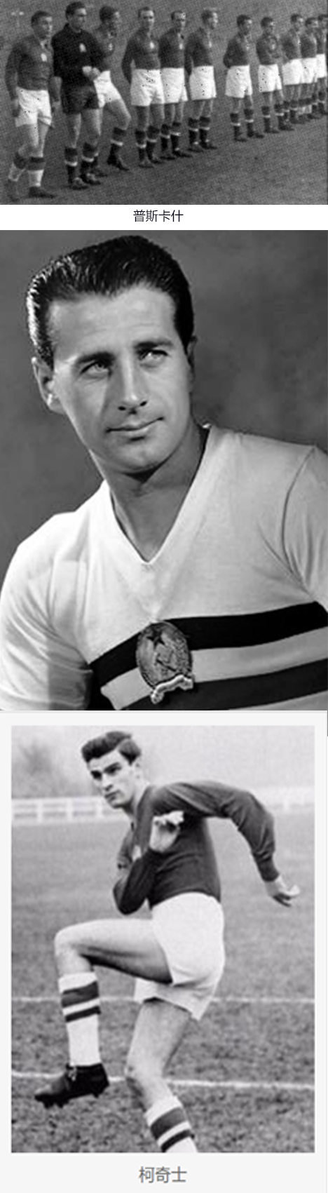 大神说球预测,大神说球绿茵完整版