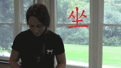 动物灵活训练,训练动物必杀技