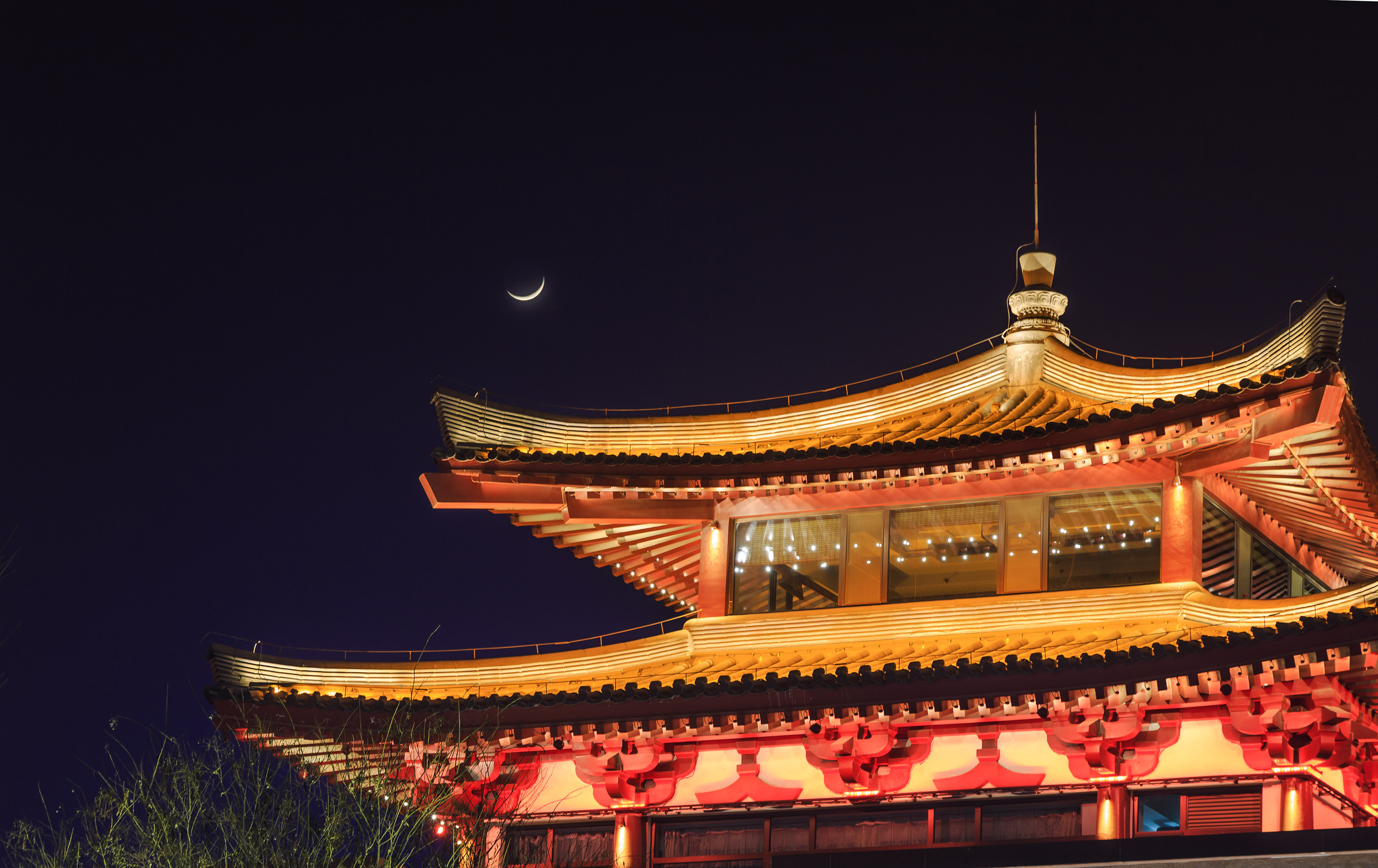 回到唐朝当商人,回到唐朝当少爷