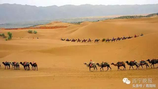 西宁到北京高铁,北京到西宁高铁