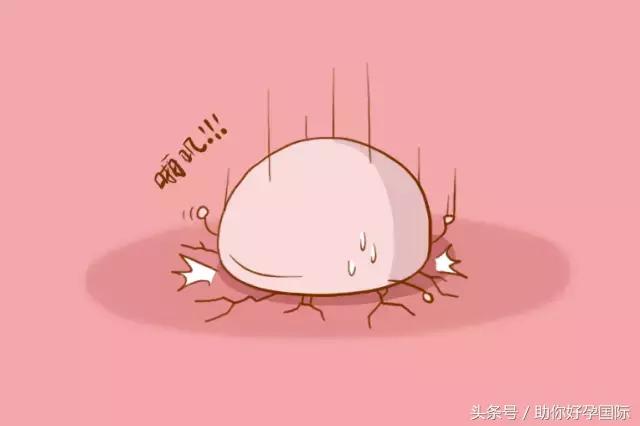 早孕为什么会有十漏九男的说法,十男有九漏是漏尿还是漏血