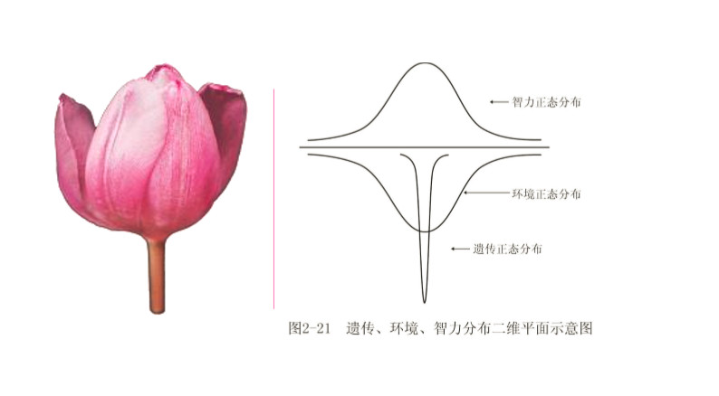 程跃博士金色摇篮,程跃博士简历