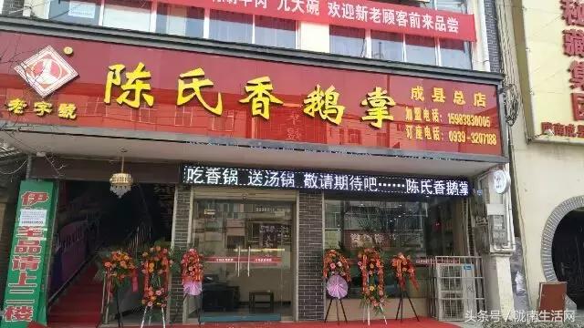 四川成县陈氏香鹅掌,四川成县香鹅掌