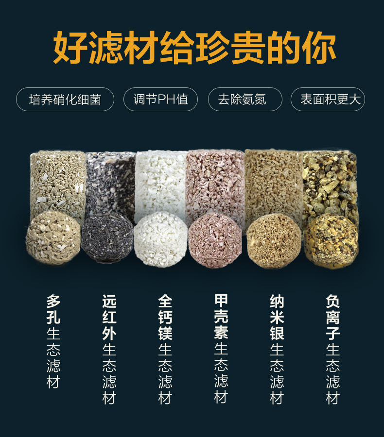 什么样的印尼虎鱼值钱,印尼虎长明