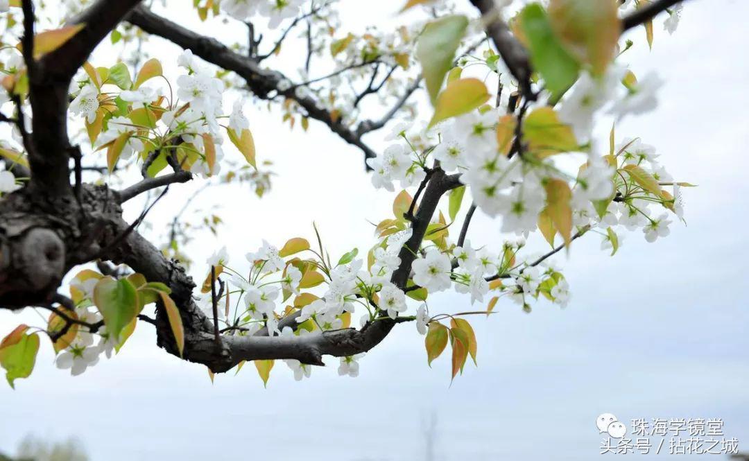 风景好适合散心的民宿,唐家特色民宿