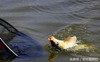 钓鱼有暗流走水怎样控制,急流水钓鱼怎么防止走漂