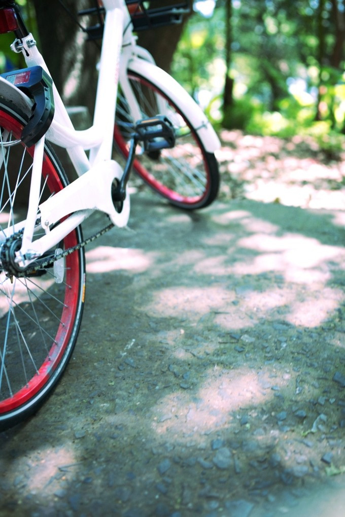 九溪虽小你却没用心体验过，别有一方风味