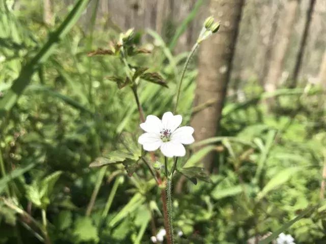 飞两千多公里,得到一座奇幻山林,一个温暖的家,一群有趣的人