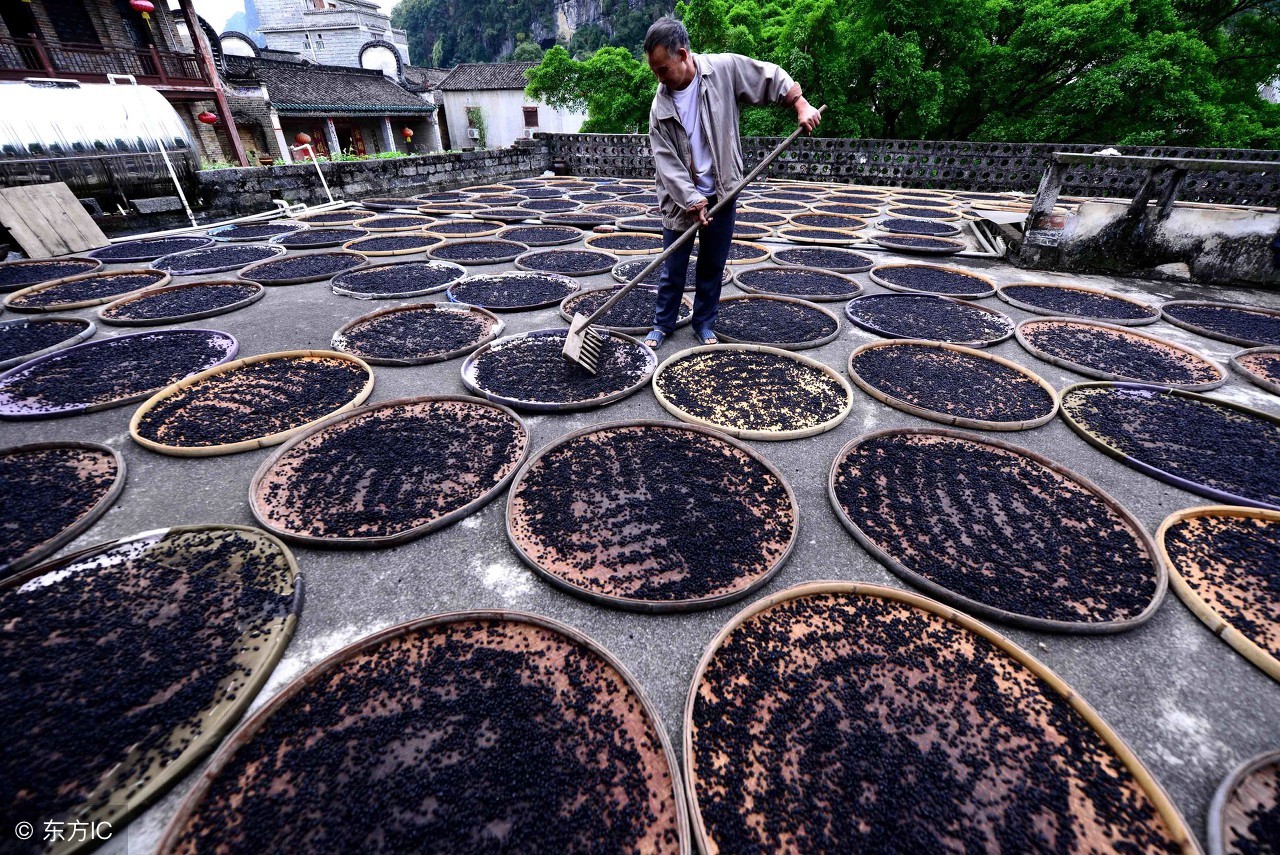 农民在农村创业什么项目好,农民返乡创业有哪些好项目