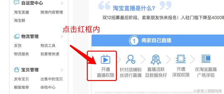 淘宝卖家直播录制讲解怎么弄的,淘宝新手直播开店怎么引流