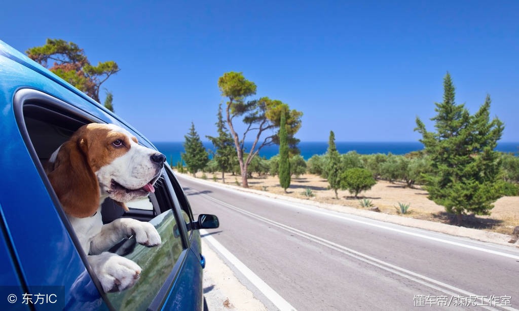 汽车做漆面镀晶大概多少钱,星钻镀晶与漆面镀晶的区别