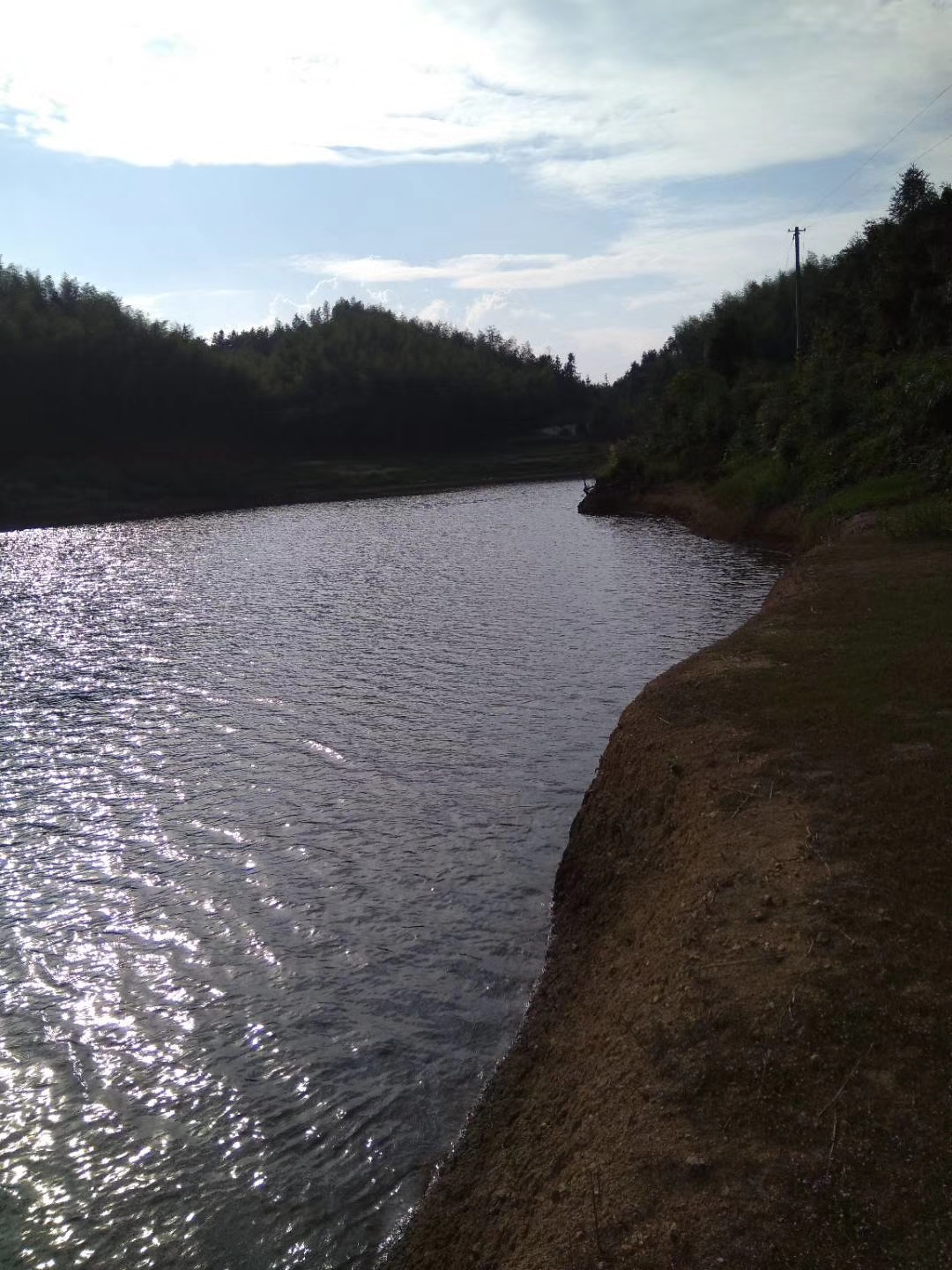 高山水库野钓鲤鱼,高山水库野钓