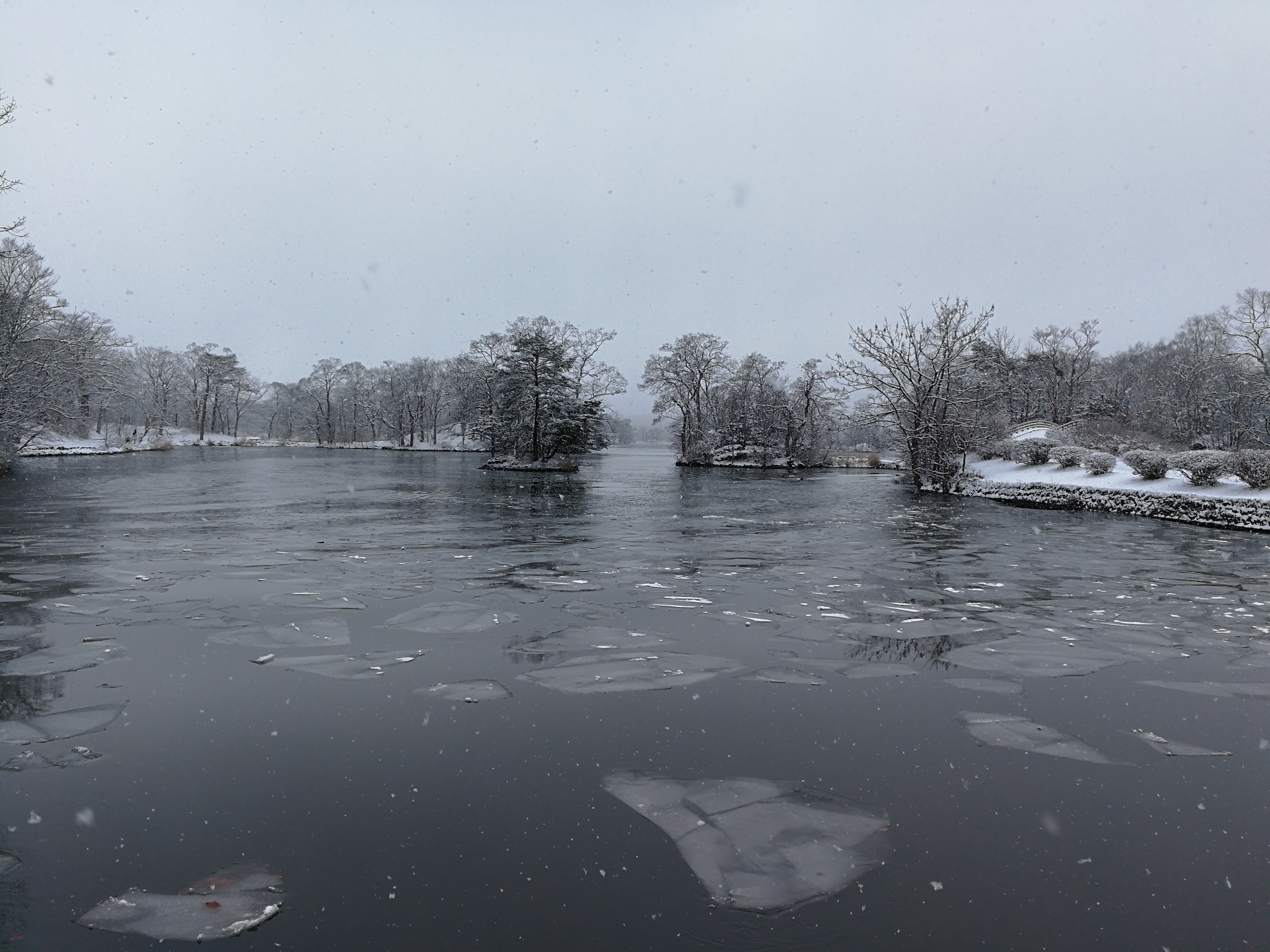 免费带你炒股的套路,免费炒股带徒弟套路