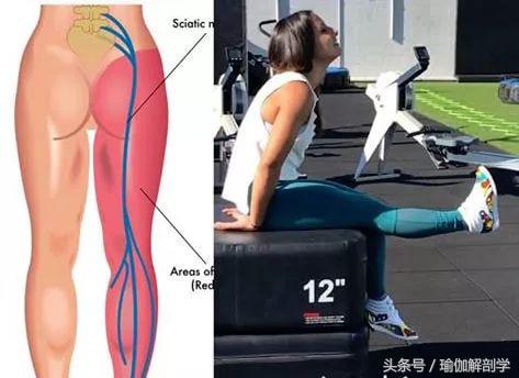 最新疼痛理疗视频,修复理疗瑜伽体式