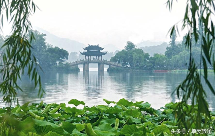 杭州这个小伙了不得！推车卖“手抓饼”，一天可挣2000块！