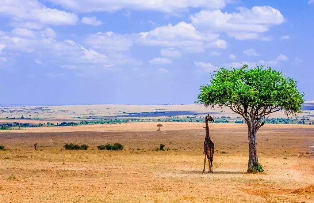 出什么国!来河北就等于来了全世界……