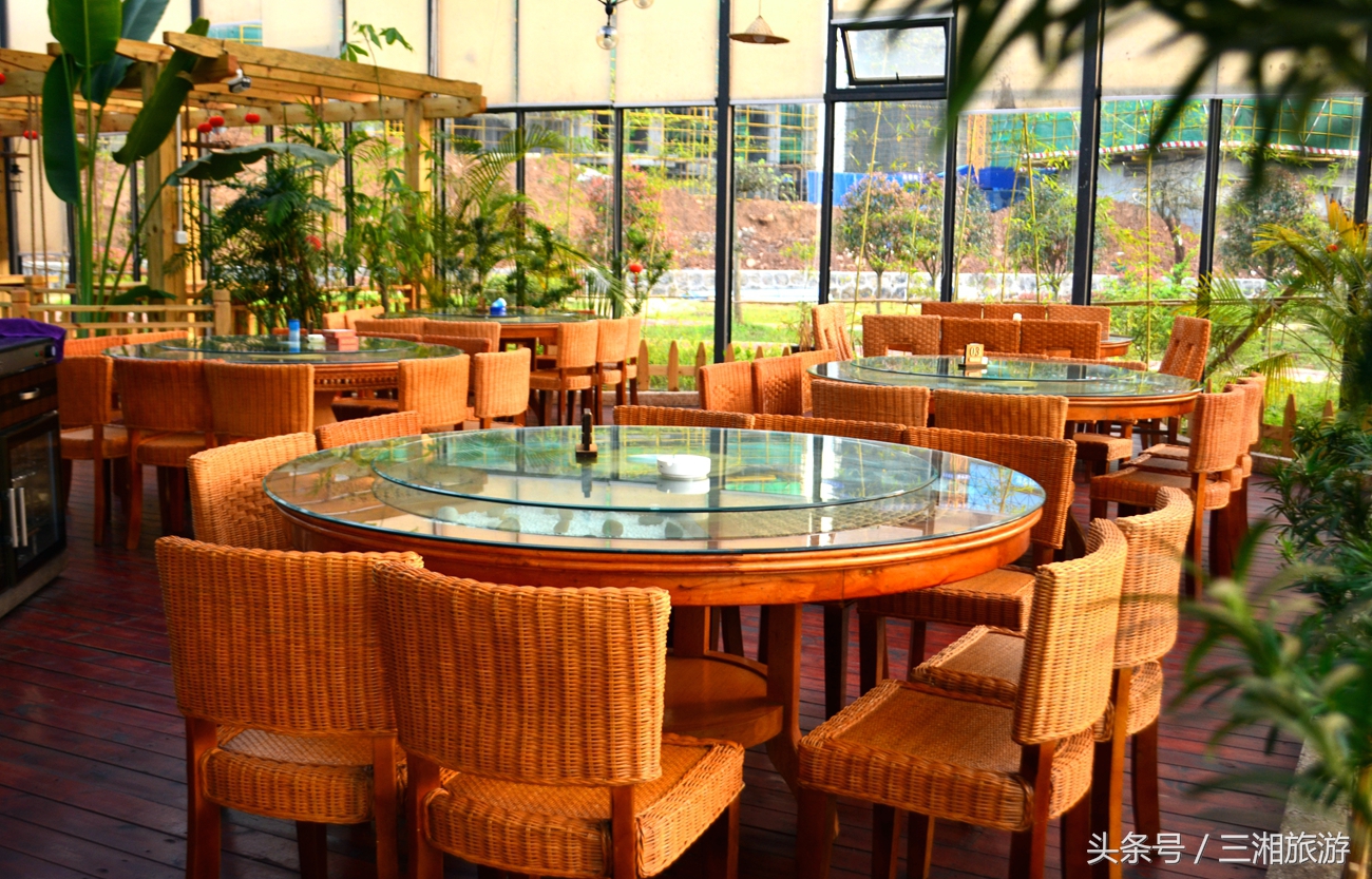 株洲生态休闲农庄生态餐饮,株洲野生鱼饭店