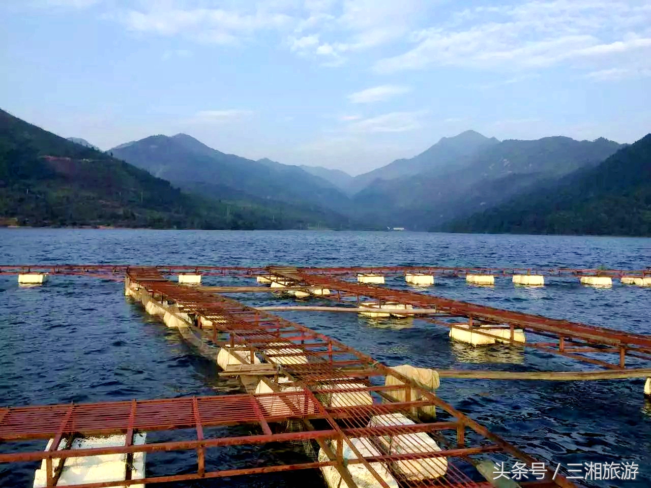 株洲生态休闲农庄生态餐饮,株洲野生鱼饭店