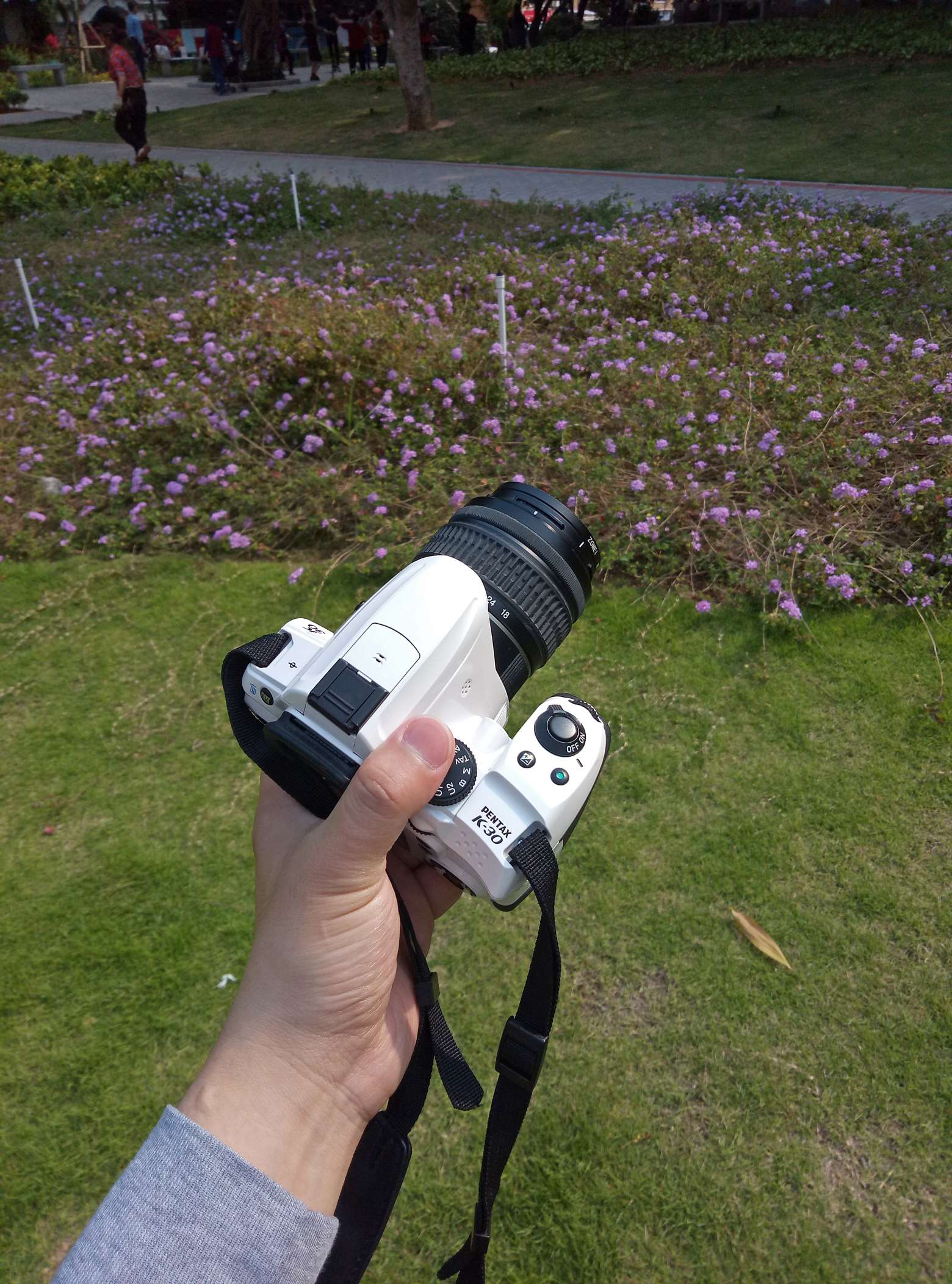 宾得k30图片,宾得k30样片