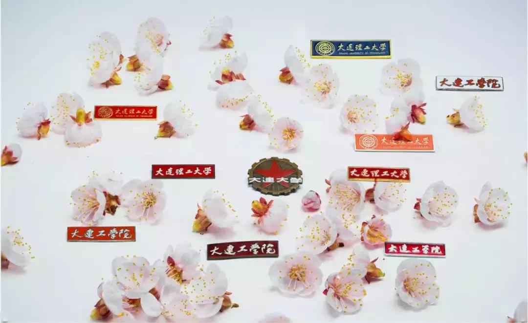 今天是您的生日,我的大工!祝您生日快乐!