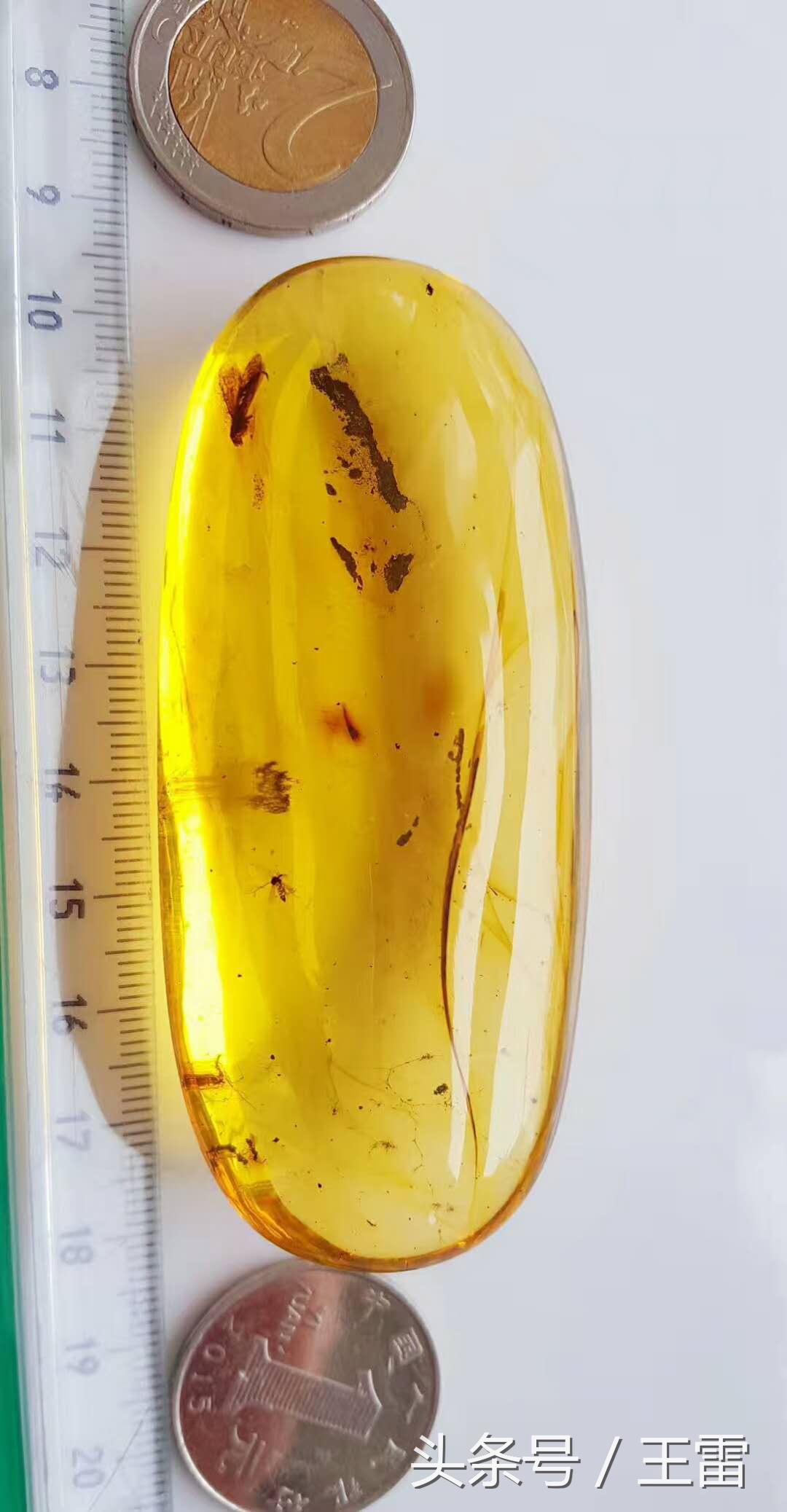 琥珀蜜蜡视频讲解全集,琥珀蜜蜡全面知识介绍