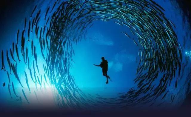 帕劳旅游攻略潜水点,帕劳自由行最值得去的潜水天堂