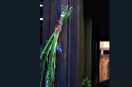 艾草百草之王,艾草为什么称为仙草